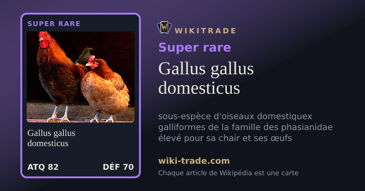 Gallus gallus domesticus — carte Super rare