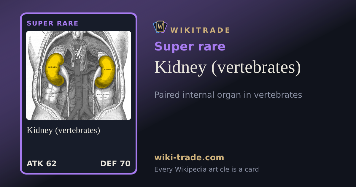 Kidney (vertebrates) — Super rare card