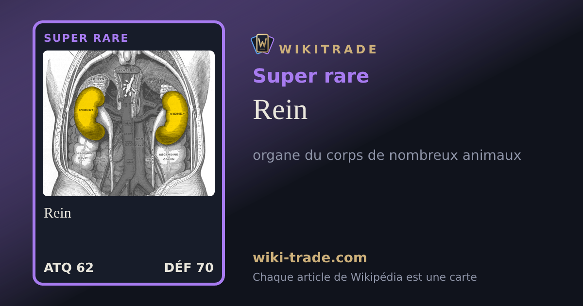 Rein — carte Super rare