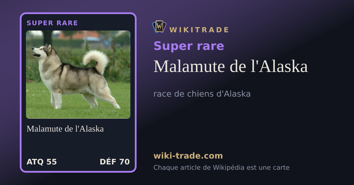 Malamute de l'Alaska — carte Super rare