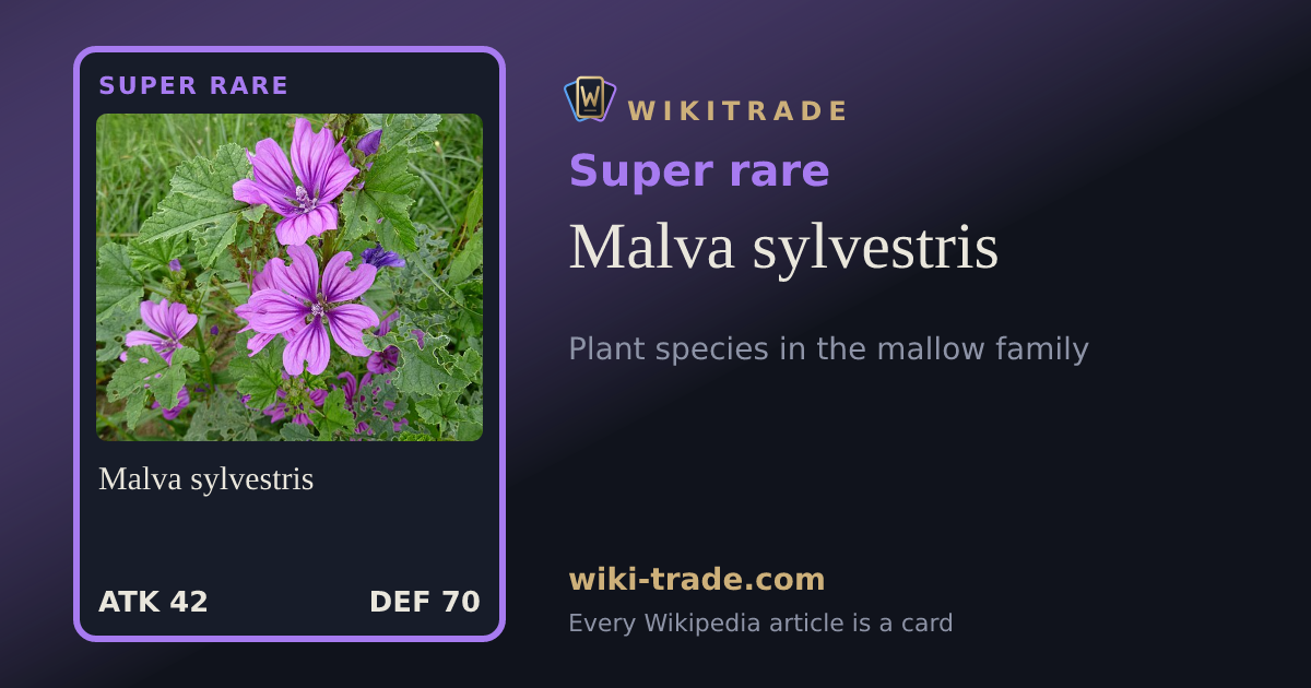 Malva sylvestris — Super rare card