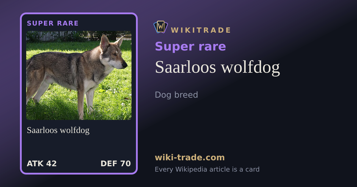 Saarloos wolfdog — Super rare card