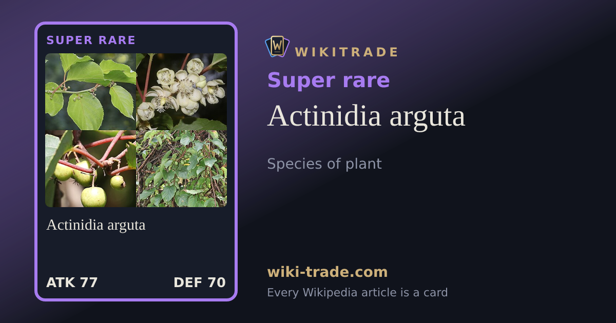 Actinidia arguta — Super rare card