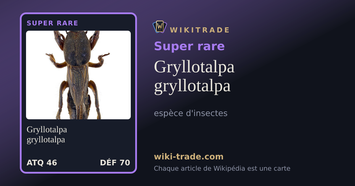 Gryllotalpa gryllotalpa — carte Super rare