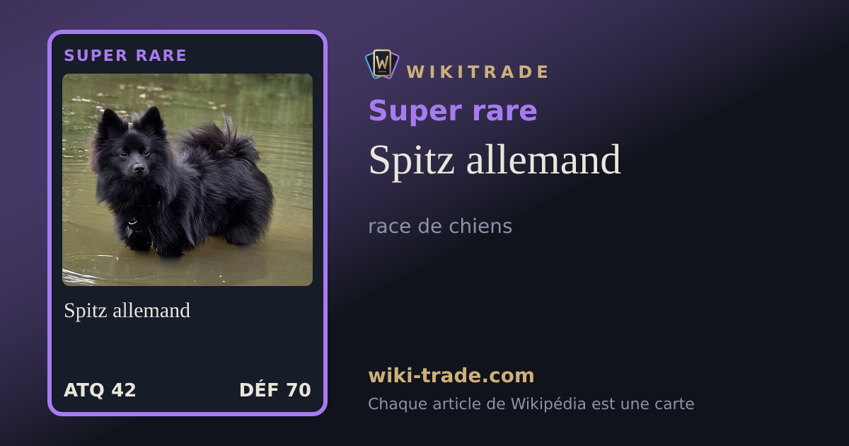 Spitz allemand — carte Super rare