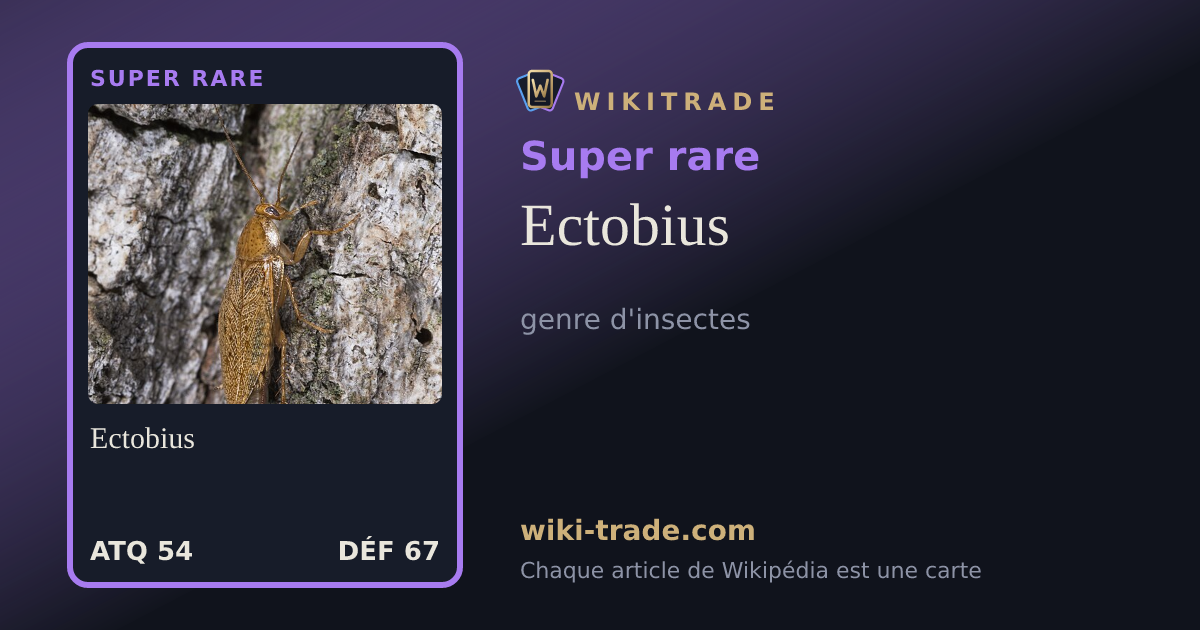 Ectobius — carte Super rare