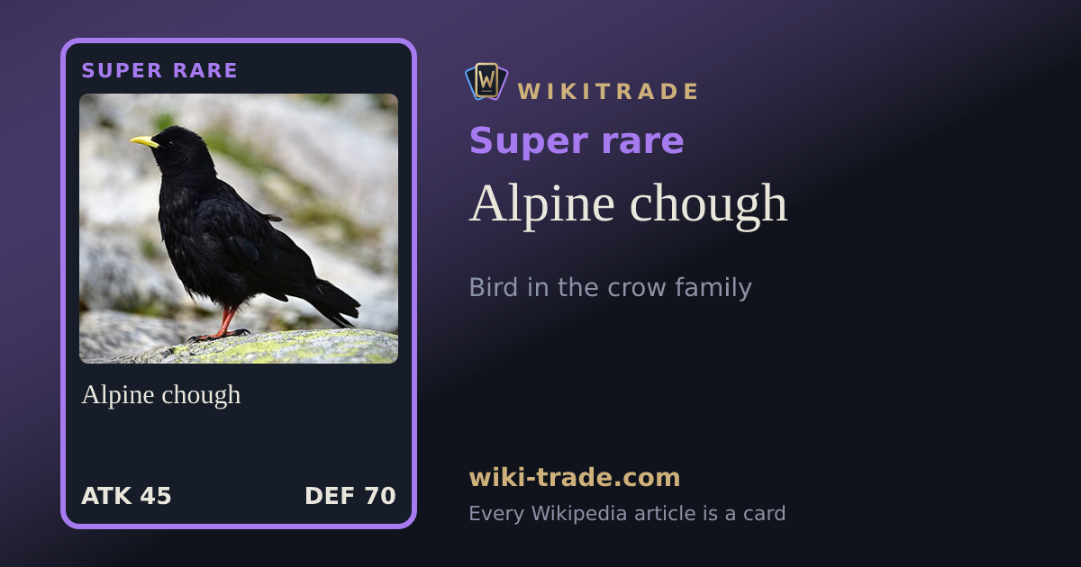 Alpine chough — Super rare card