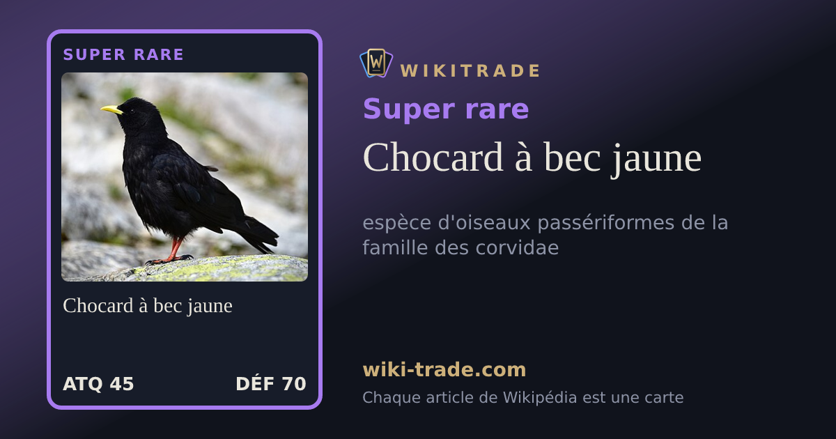 Chocard à bec jaune — carte Super rare