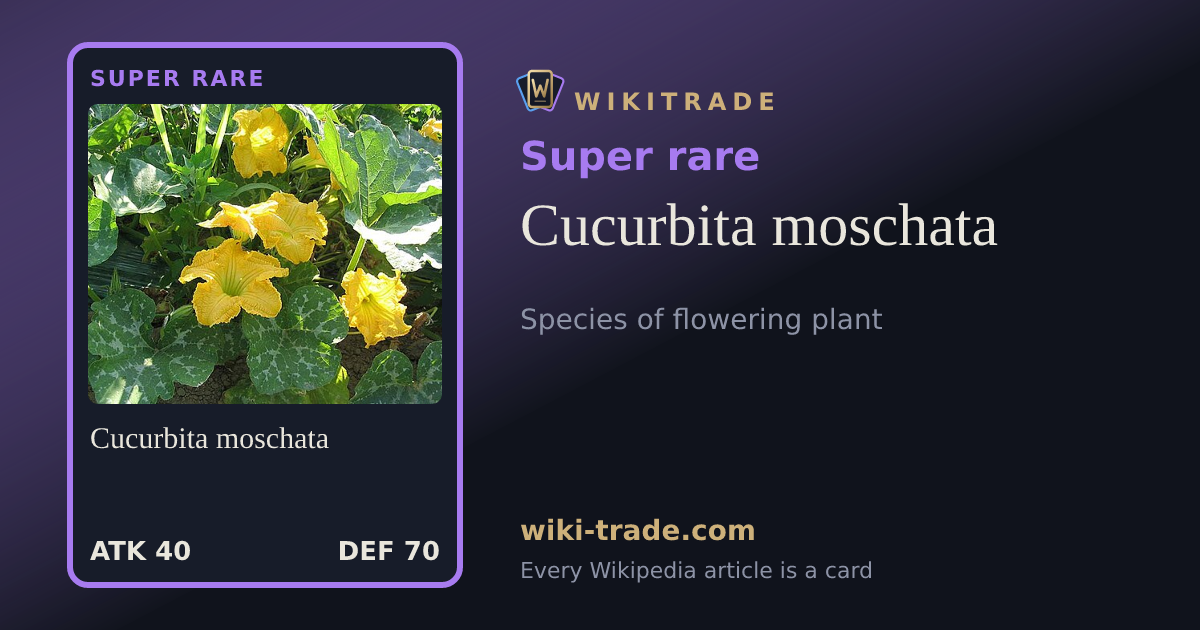Cucurbita moschata — Super rare card