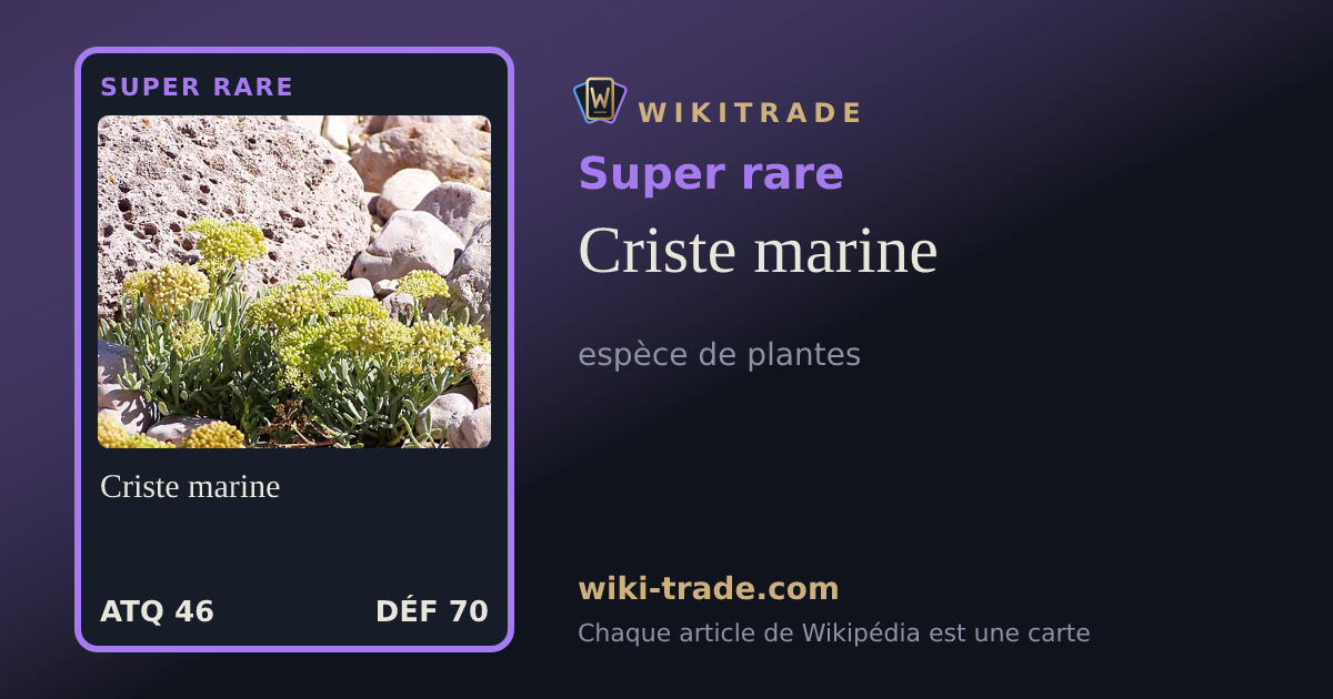 Criste marine — carte Super rare