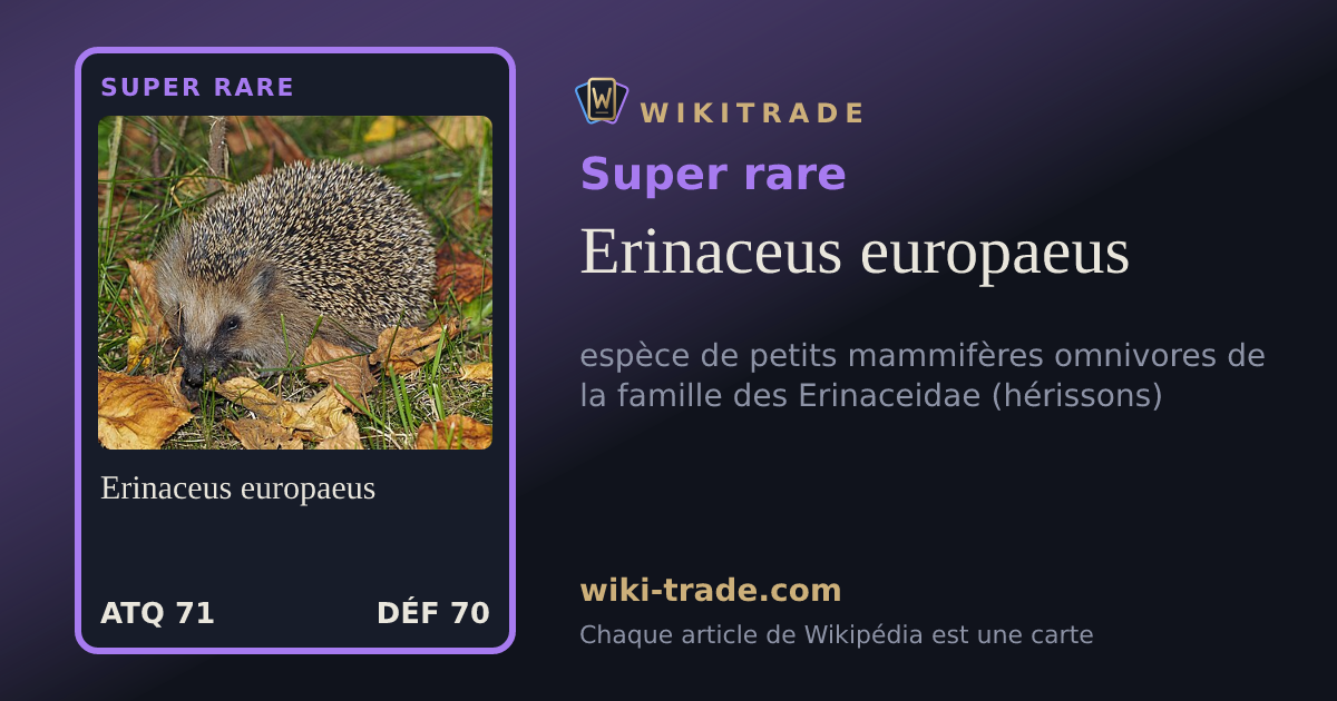 Erinaceus europaeus — carte Super rare