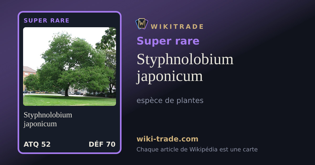 Styphnolobium japonicum — carte Super rare