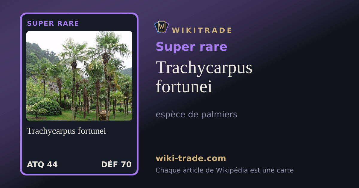 Trachycarpus fortunei — carte Super rare