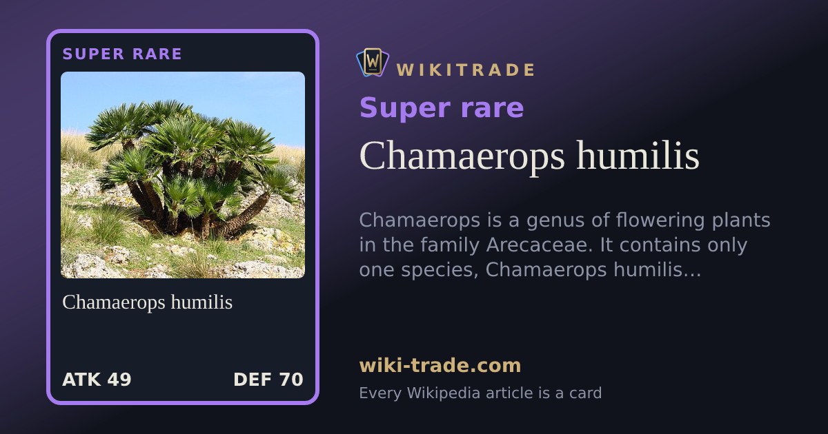 Chamaerops humilis — Super rare card