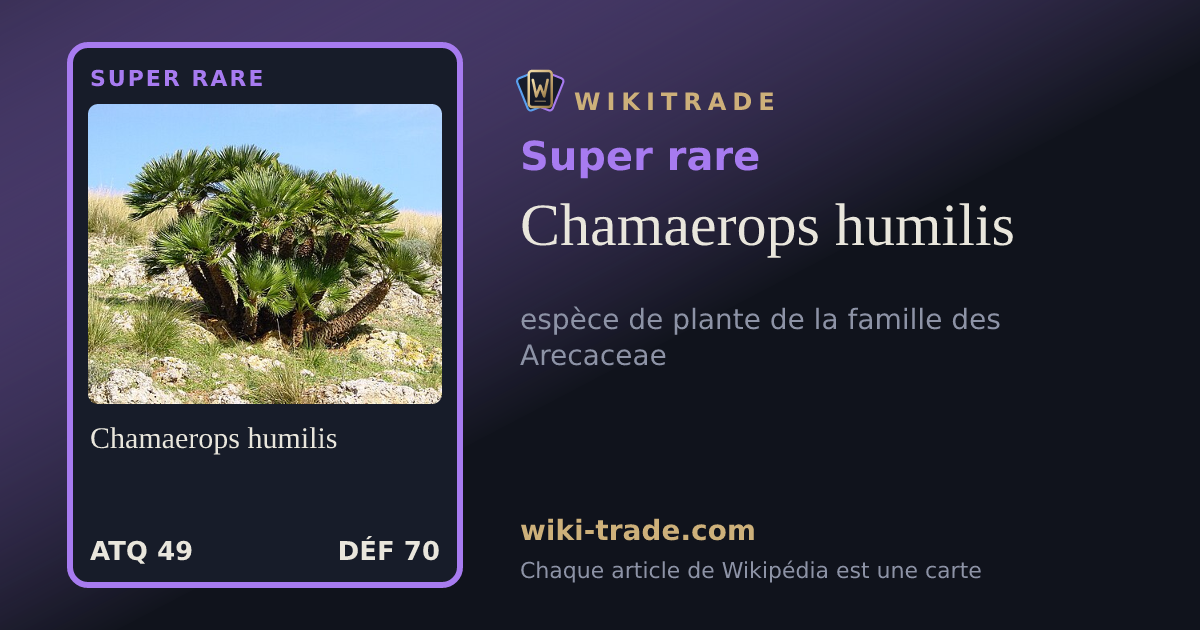 Chamaerops humilis — carte Super rare