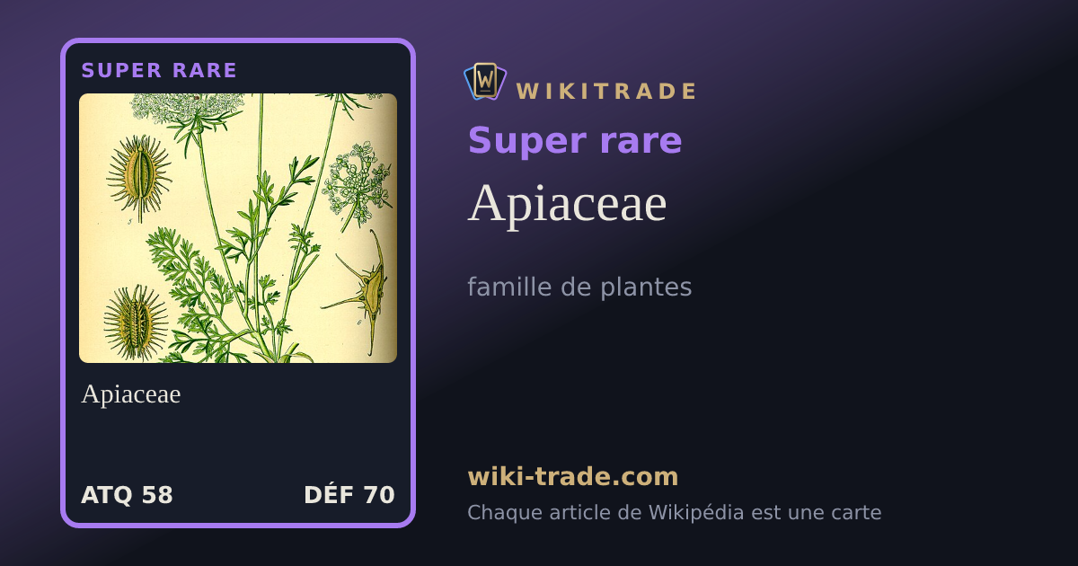 Apiaceae — carte Super rare