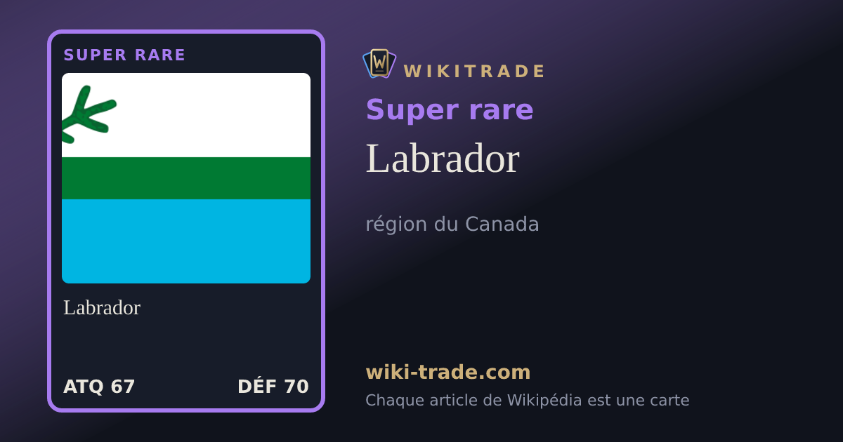 Labrador — carte Super rare