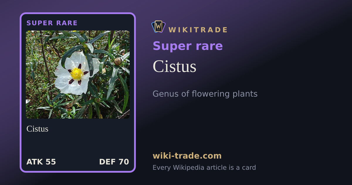 Cistus — Super rare card