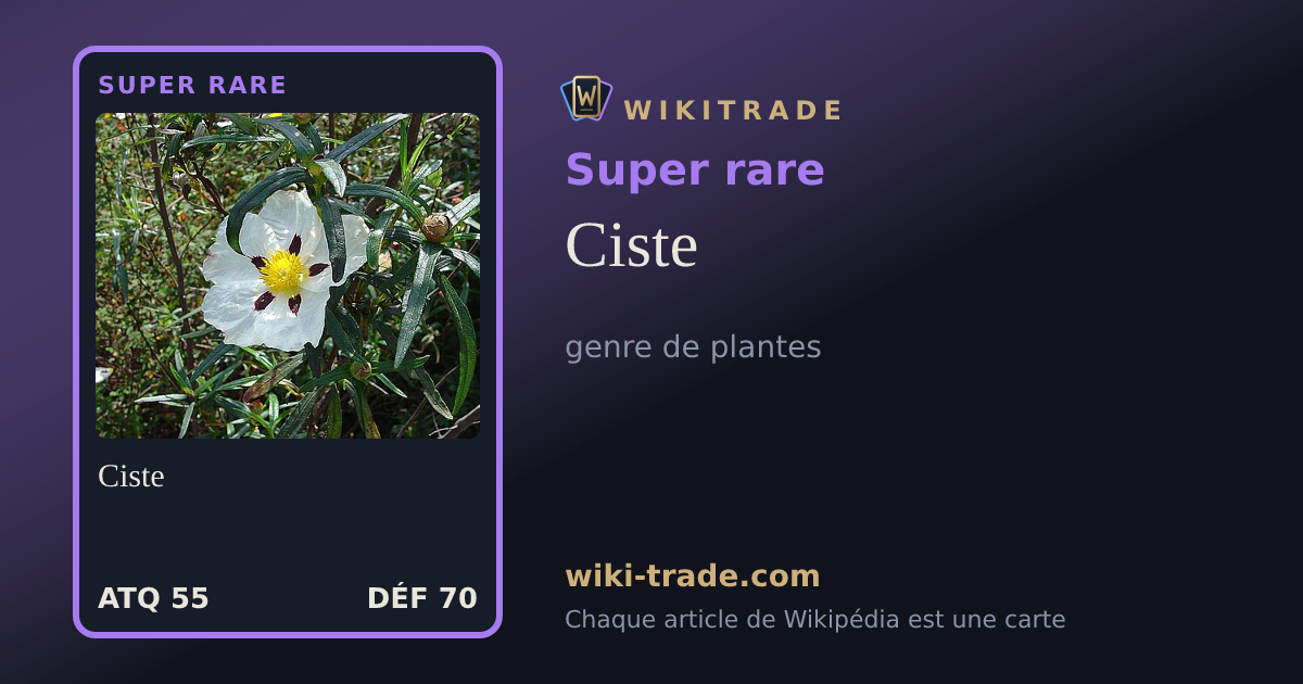 Ciste — carte Super rare