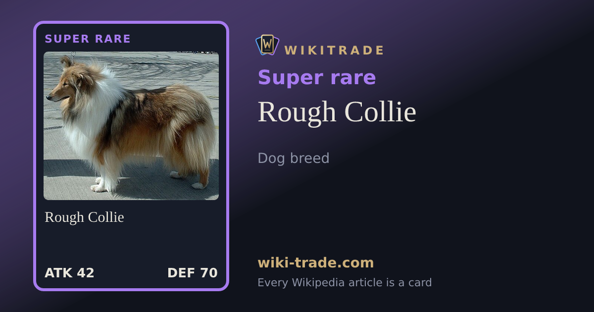 Rough Collie — Super rare card