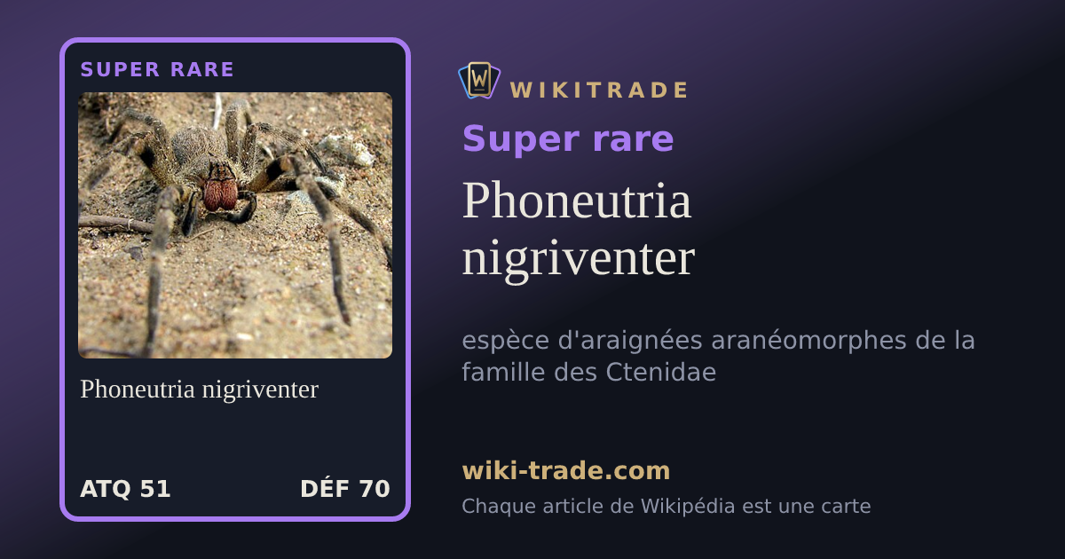 Phoneutria nigriventer — carte Super rare