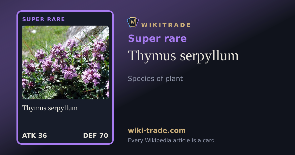Thymus serpyllum — Super rare card