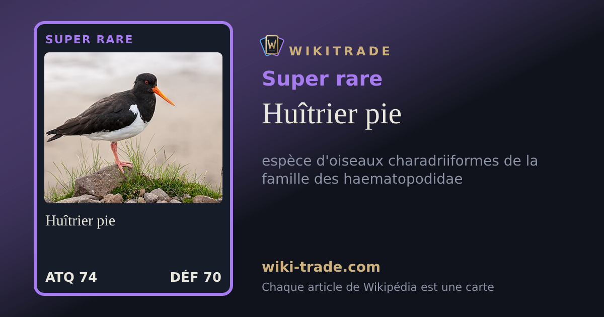 Huîtrier pie — carte Super rare