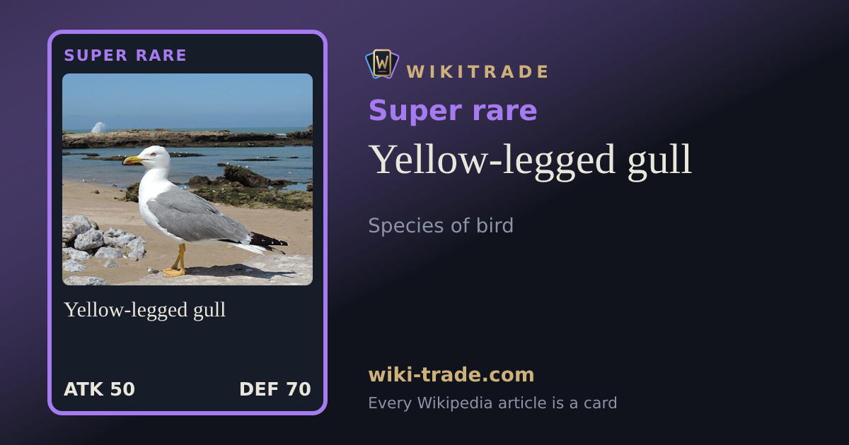 Yellow-legged gull — Super rare card