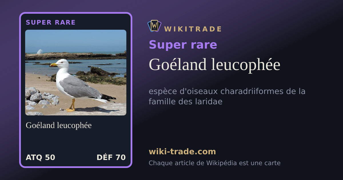 Goéland leucophée — carte Super rare