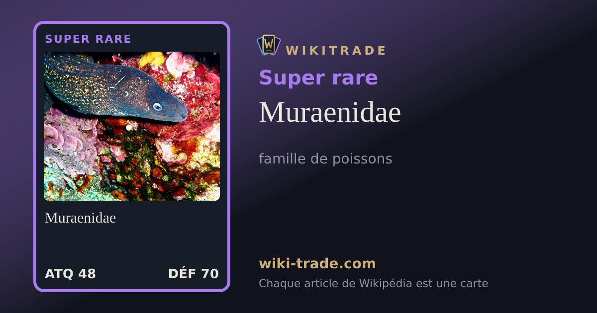 Muraenidae — carte Super rare