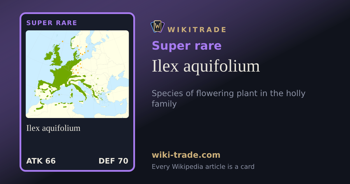 Ilex aquifolium — Super rare card