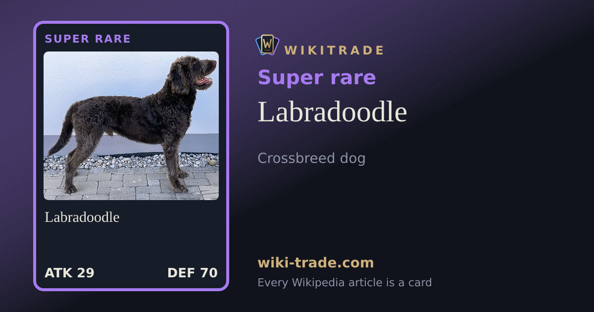 Labradoodle — Super rare card