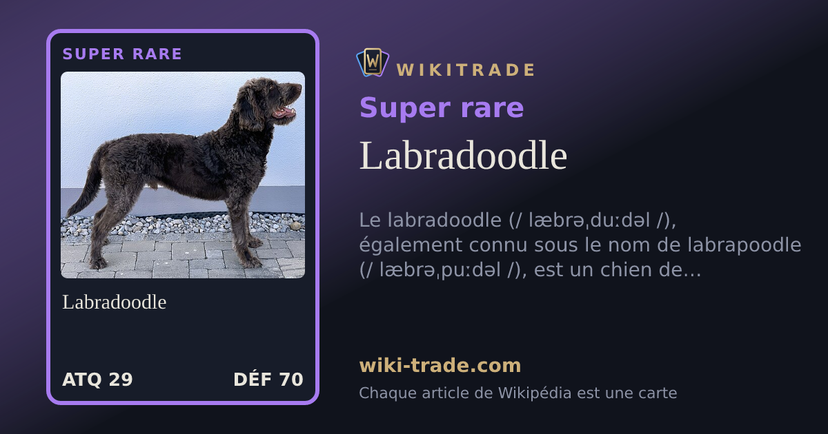 Labradoodle — carte Super rare