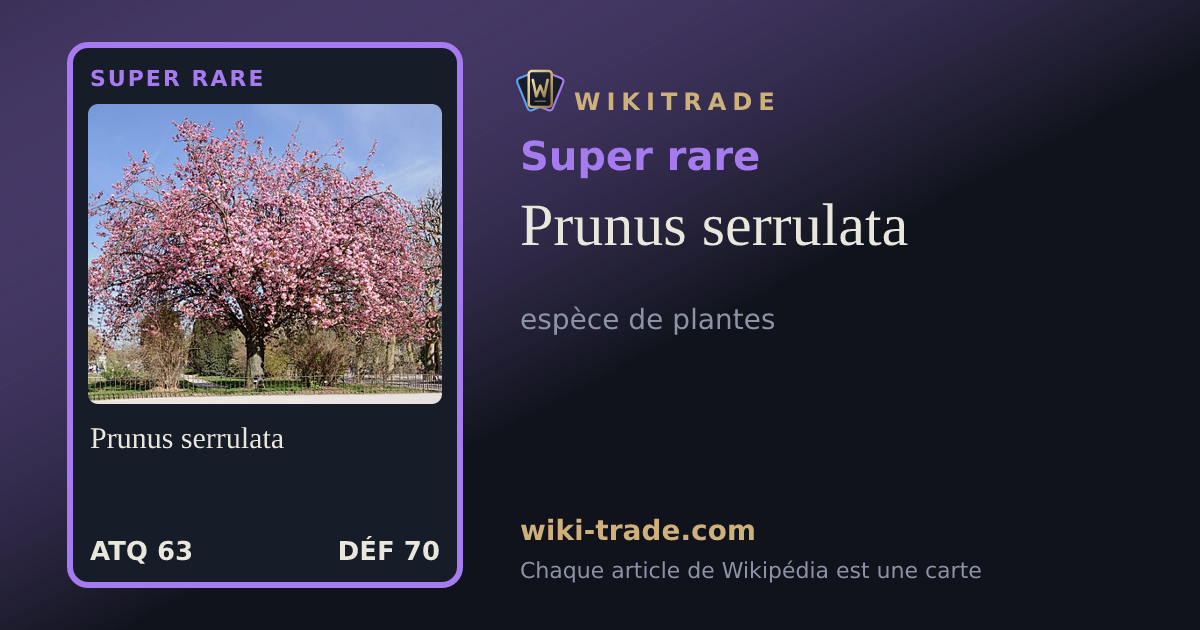 Prunus serrulata — carte Super rare