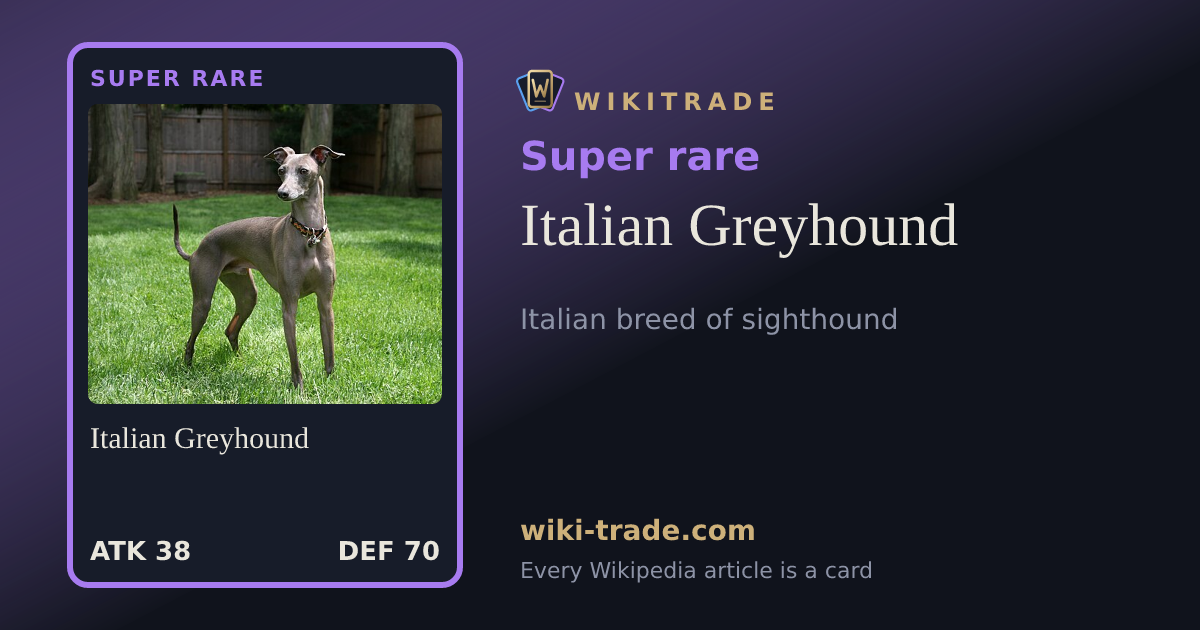 Italian Greyhound — Super rare card