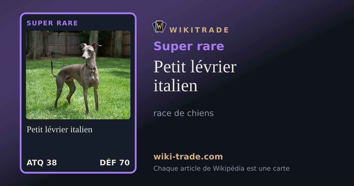 Petit lévrier italien — carte Super rare