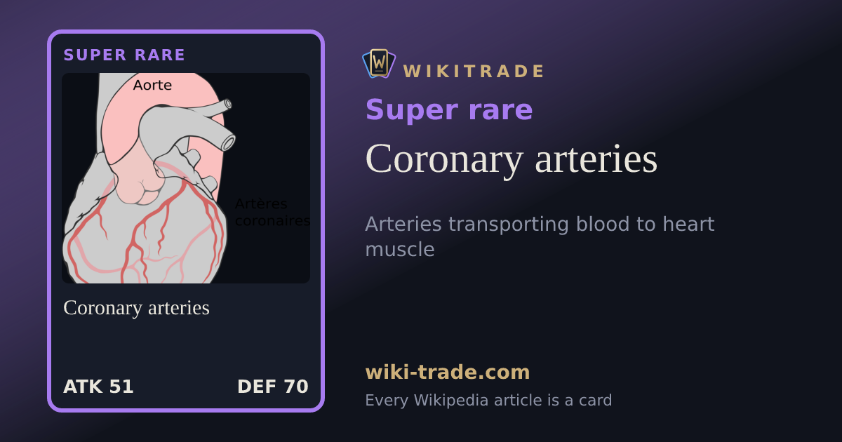 Coronary arteries — Super rare card