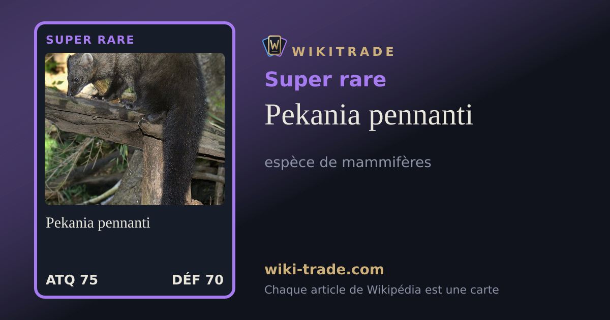 Pekania pennanti — carte Super rare