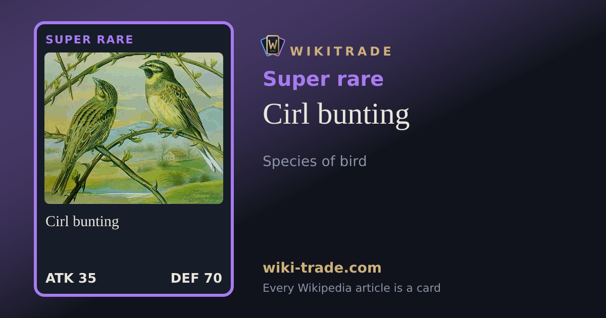 Cirl bunting — Super rare card