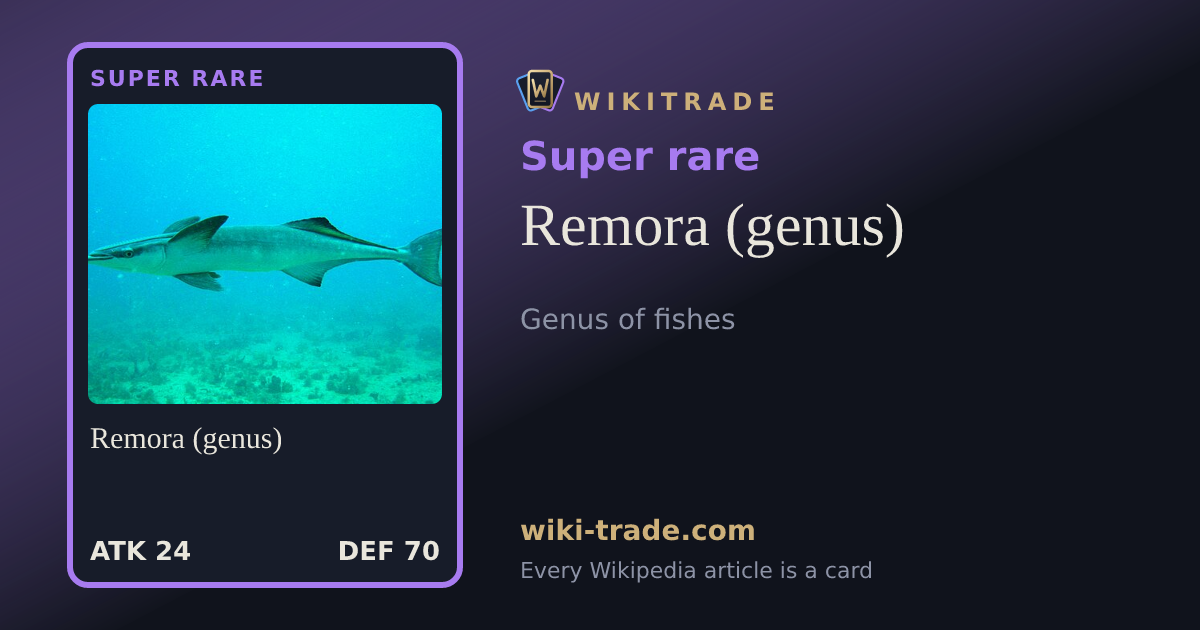 Remora (genus) — Super rare card