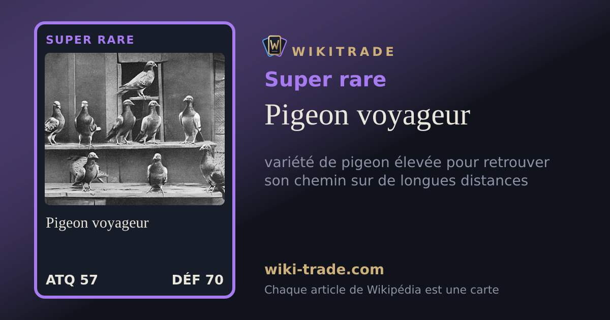 Pigeon voyageur — carte Super rare