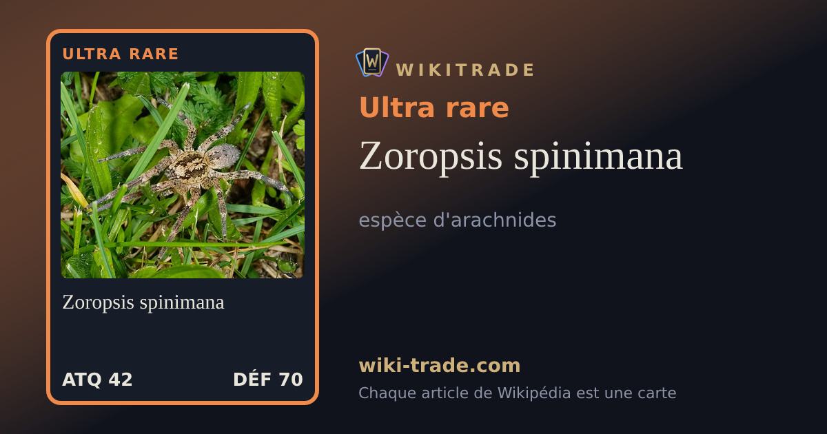 Zoropsis spinimana — carte Ultra rare