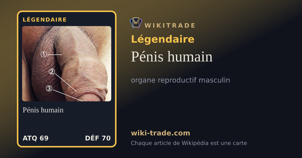 Pénis humain — carte Légendaire