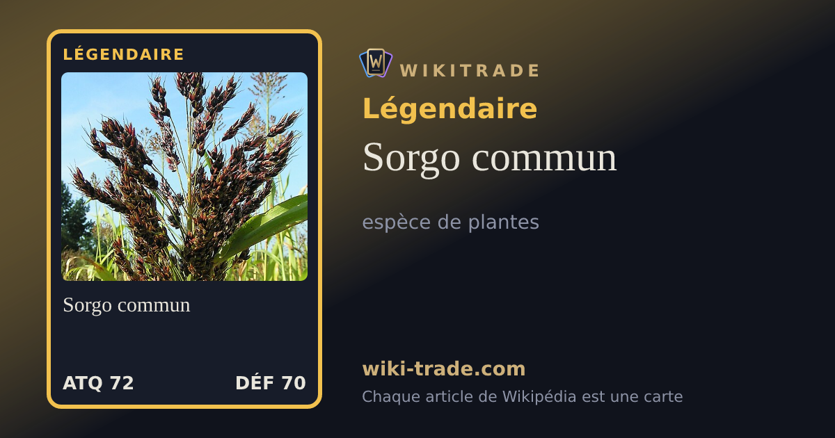 Sorgo commun — carte Légendaire