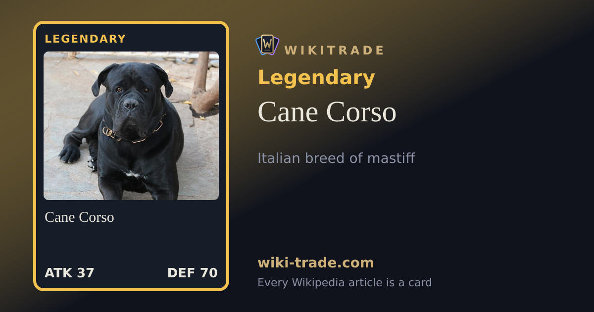 Cane Corso — Legendary card