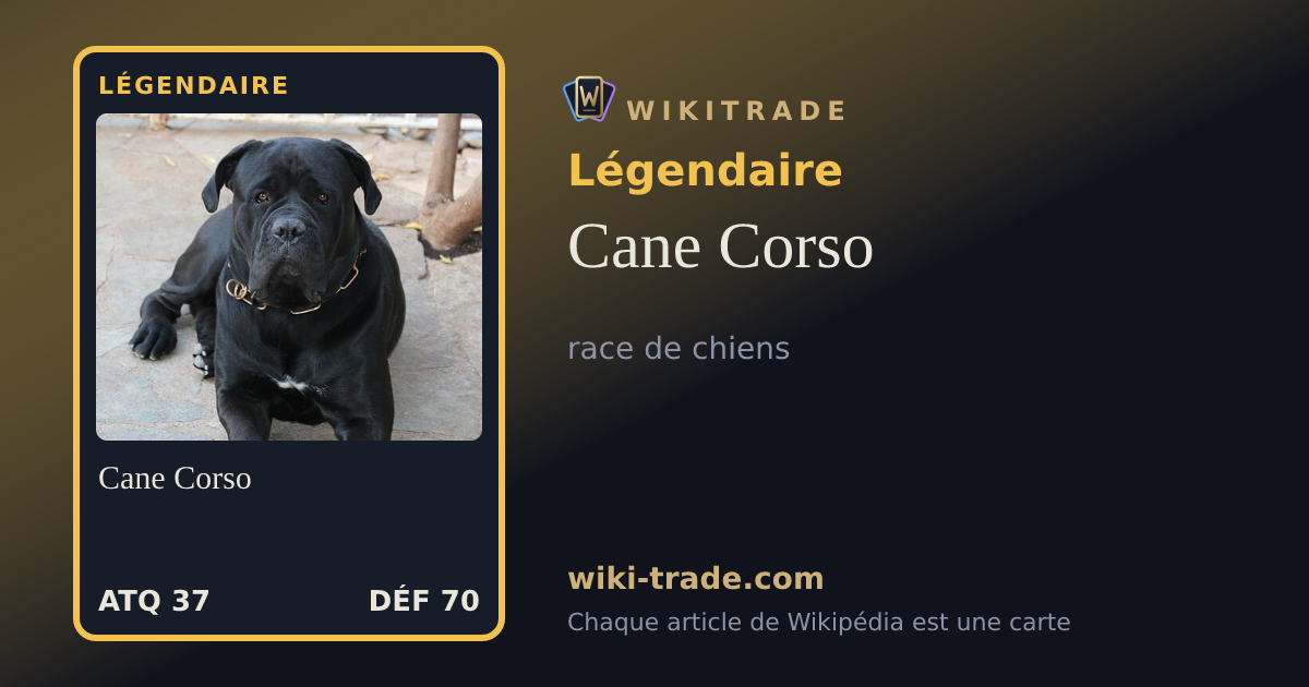 Cane Corso — carte Légendaire