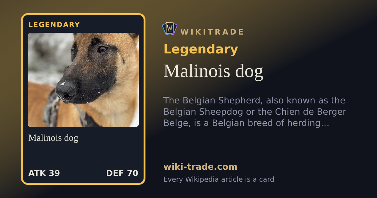 Malinois dog — Legendary card